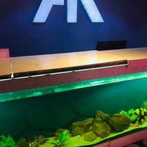 v6bar酒吧（V6汇聚坊：探索多元味蕾的潮流社交空间）